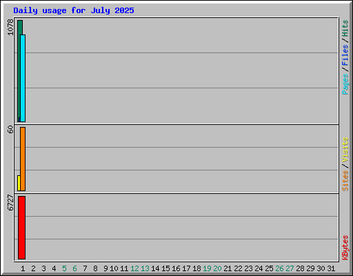 Daily usage for July 2025