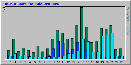 Hourly usage for February 2025
