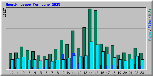 Hourly usage for June 2025