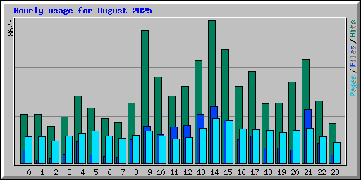 Hourly usage for August 2025