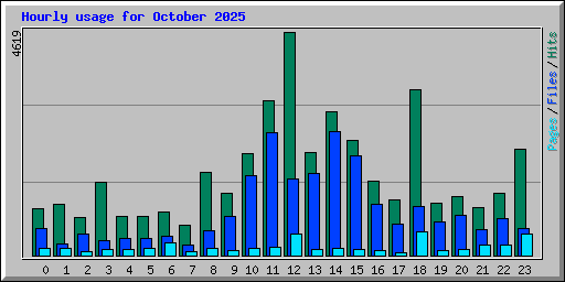 Hourly usage for October 2025