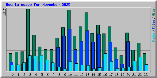 Hourly usage for November 2025