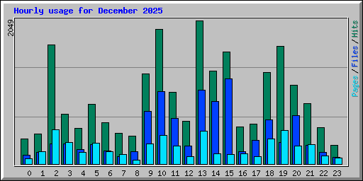 Hourly usage for December 2025