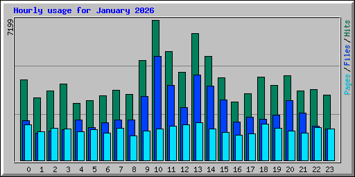 Hourly usage for January 2026